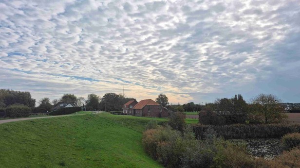 Het Leeuwenhofje