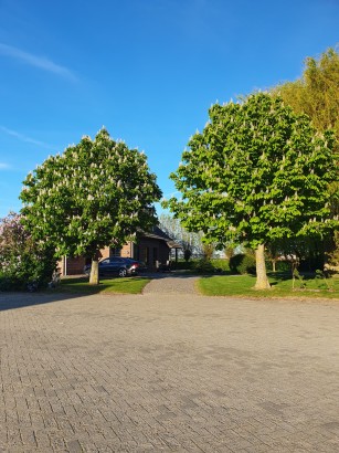 't Ouwe Steedje