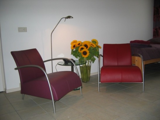 Logies De Tabaksplant