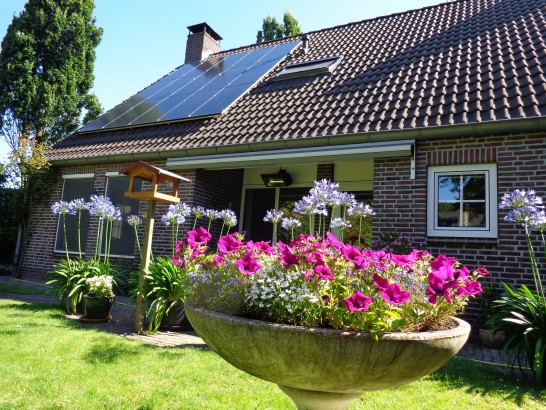 B & B Tussen Broek en Duin