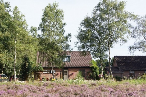 Heidezicht