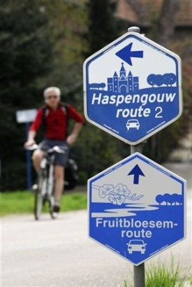 De Vroling