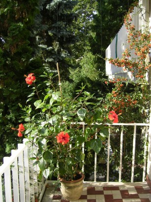 "Road to the Forest" Guesthouse