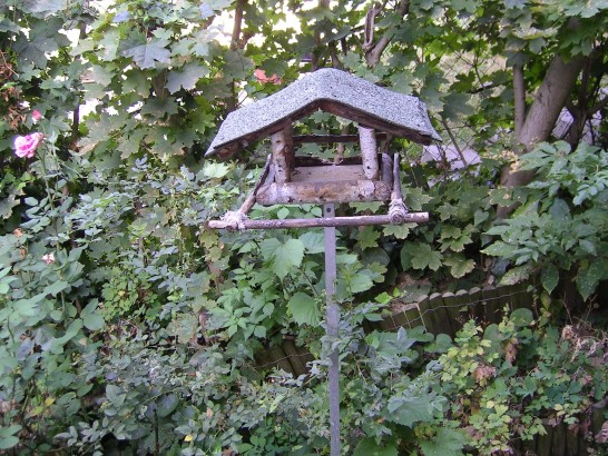 "Road to the Forest" Guesthouse