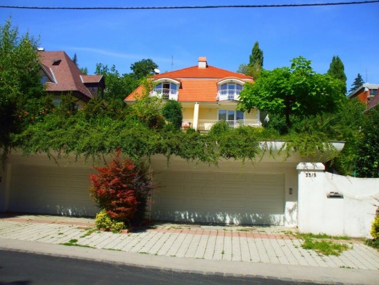 "Road to the Forest" Guesthouse