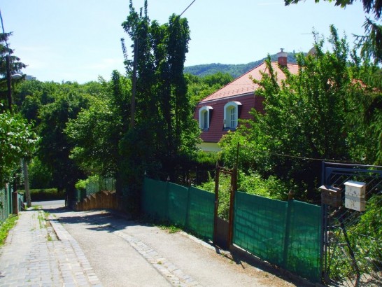 "Road to the Forest" Guesthouse
