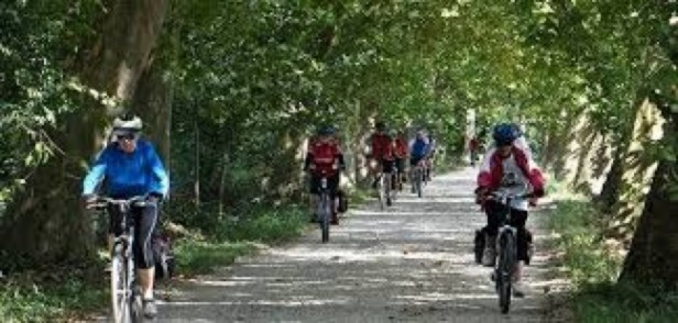 "Road to the Forest" Guesthouse