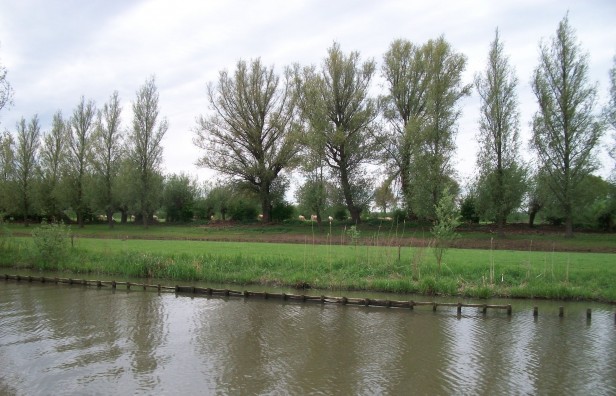 B&B Bij de Boomgaard