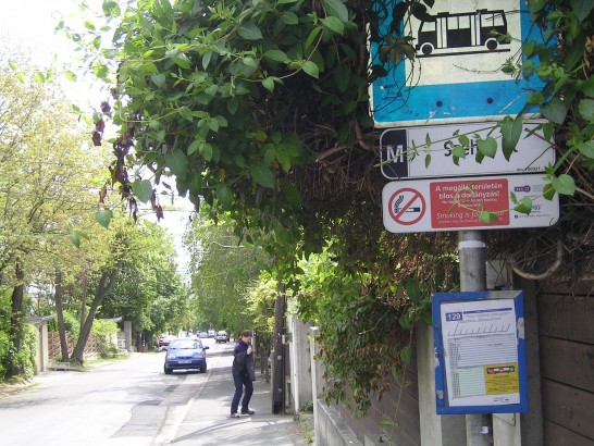 "Road to the Forest" Guesthouse