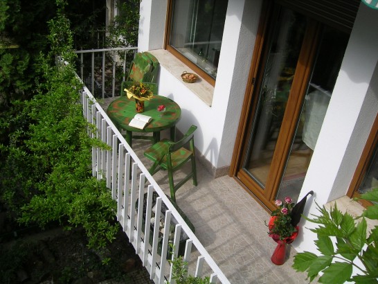 "Road to the Forest" Guesthouse