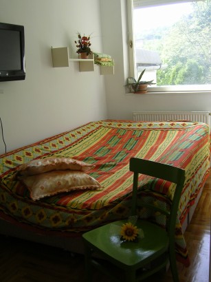 "Road to the Forest" Guesthouse