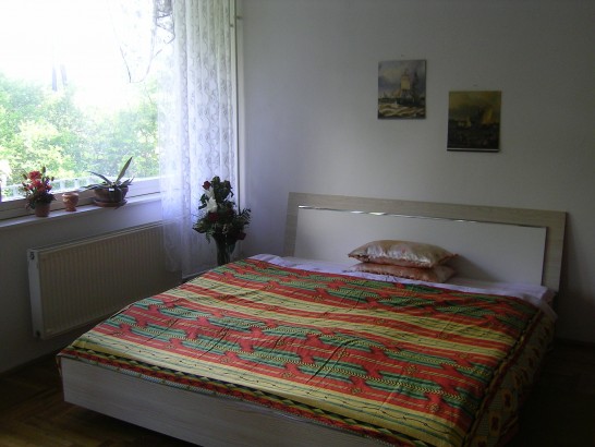 "Road to the Forest" Guesthouse