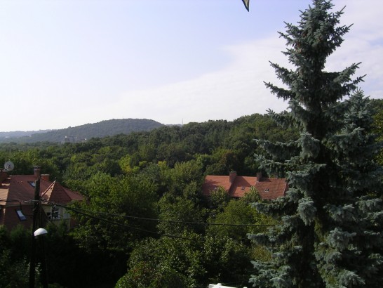 "Road to the Forest" Guesthouse - Room 2 - single room
