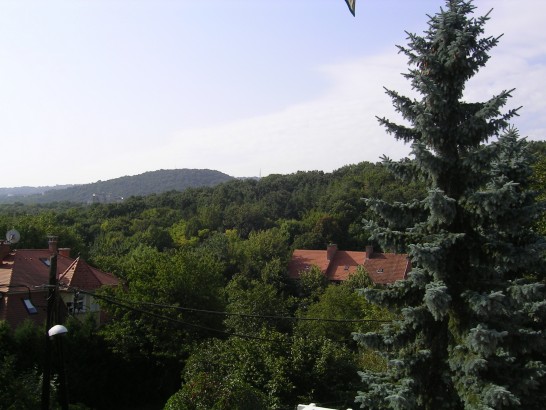 "Road to the Forest" Guesthouse