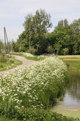 Countryside